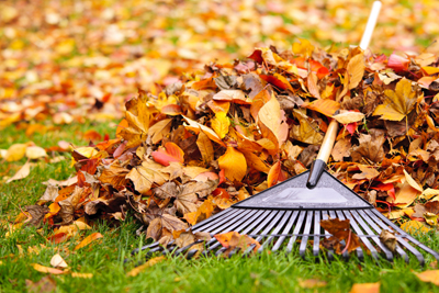 Fall Plumbing Maintenance Tips